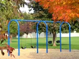 Champion Park Swings
