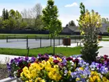 Tennis Courts